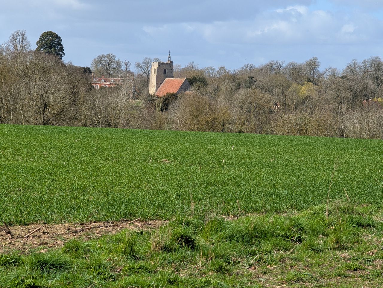 2026-03-11 06 Sudbury Belchamp Walter.jpg