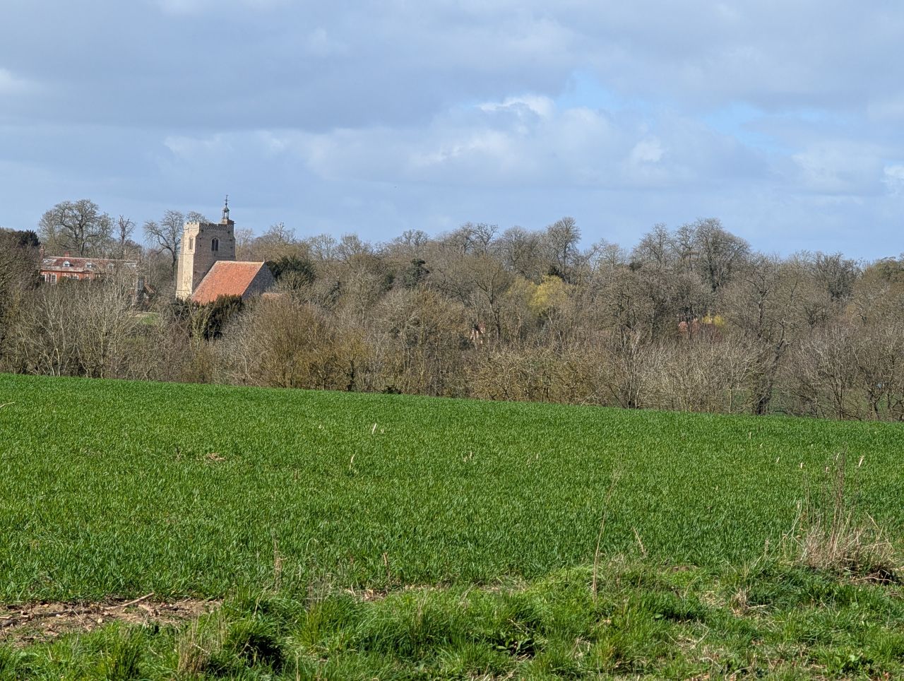 2026-03-11 07 Sudbury Belchamp Walter.jpg