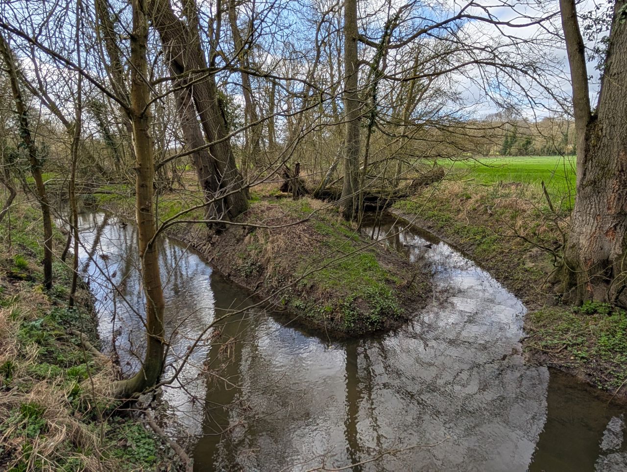 2026-03-11 12 Sudbury Belchamp Walter.jpg