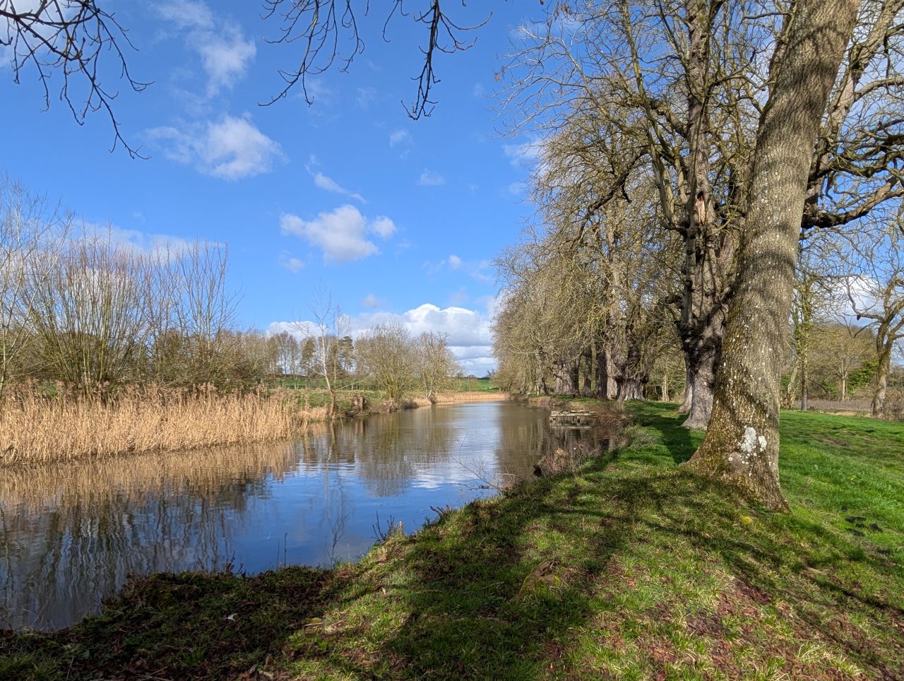 2026-03-11 13 Sudbury Belchamp Walter.jpg