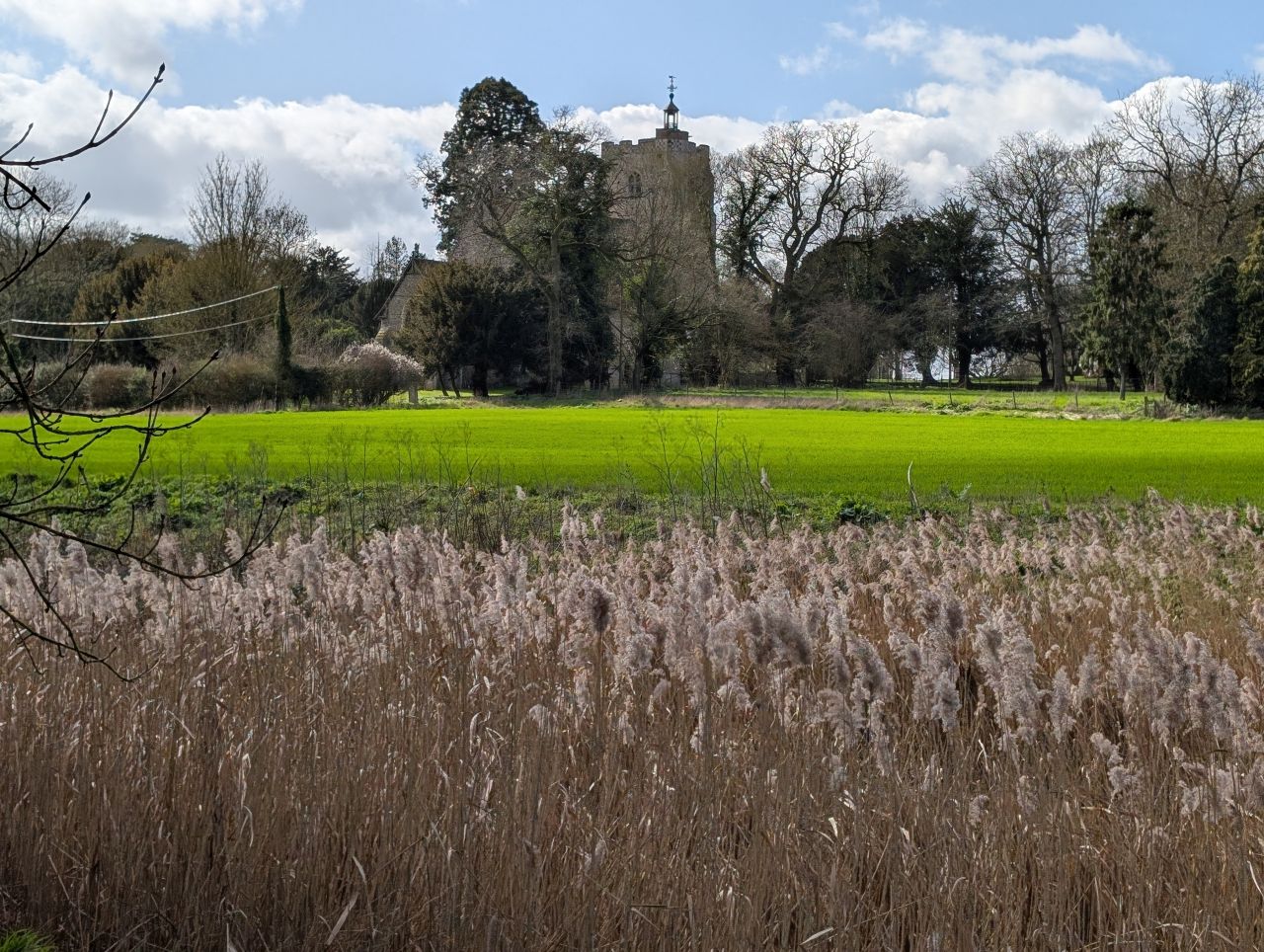 2026-03-11 14 Sudbury Belchamp Walter.jpg