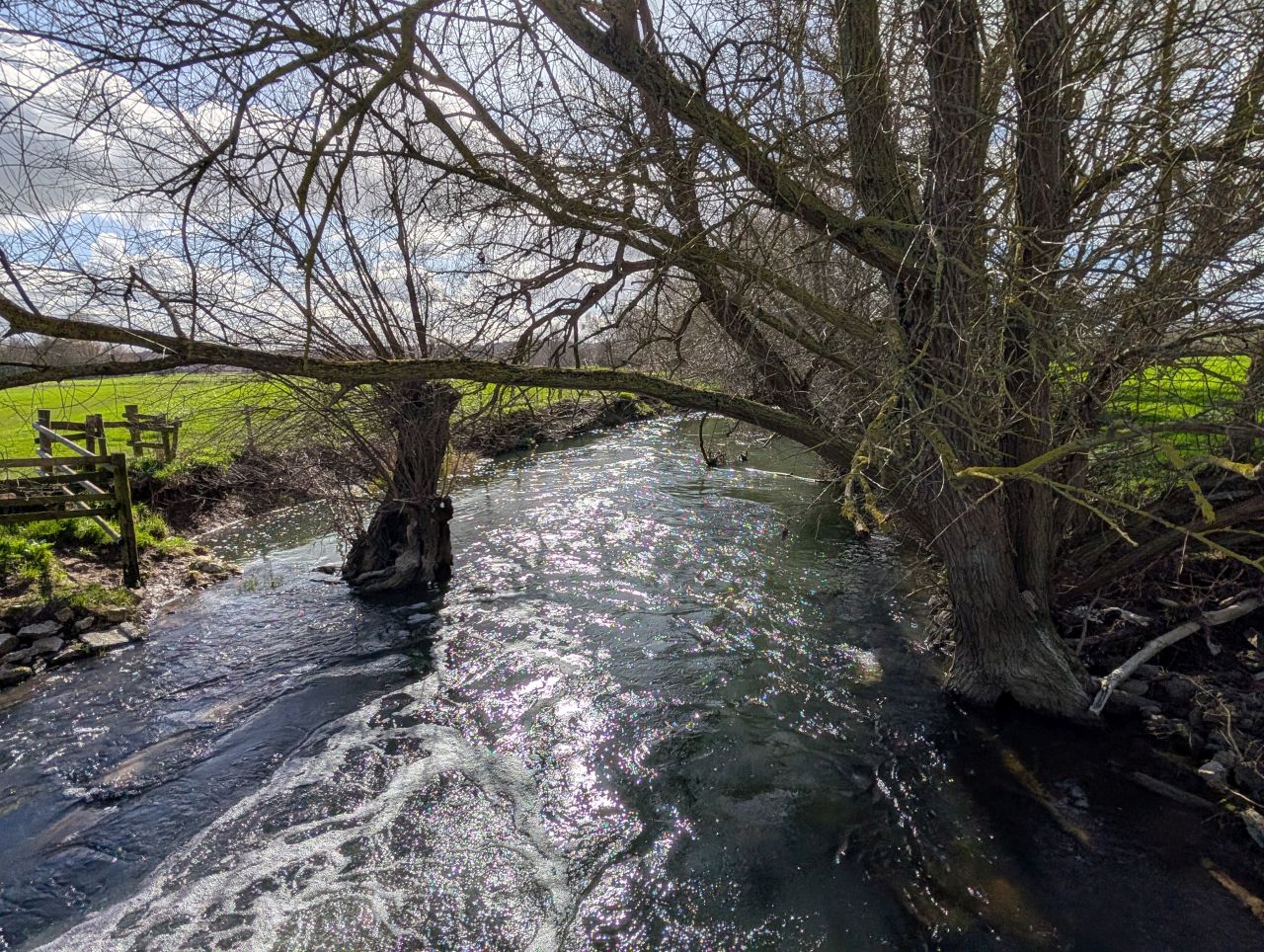 2026-03-11 22 Sudbury Belchamp Walter.jpg