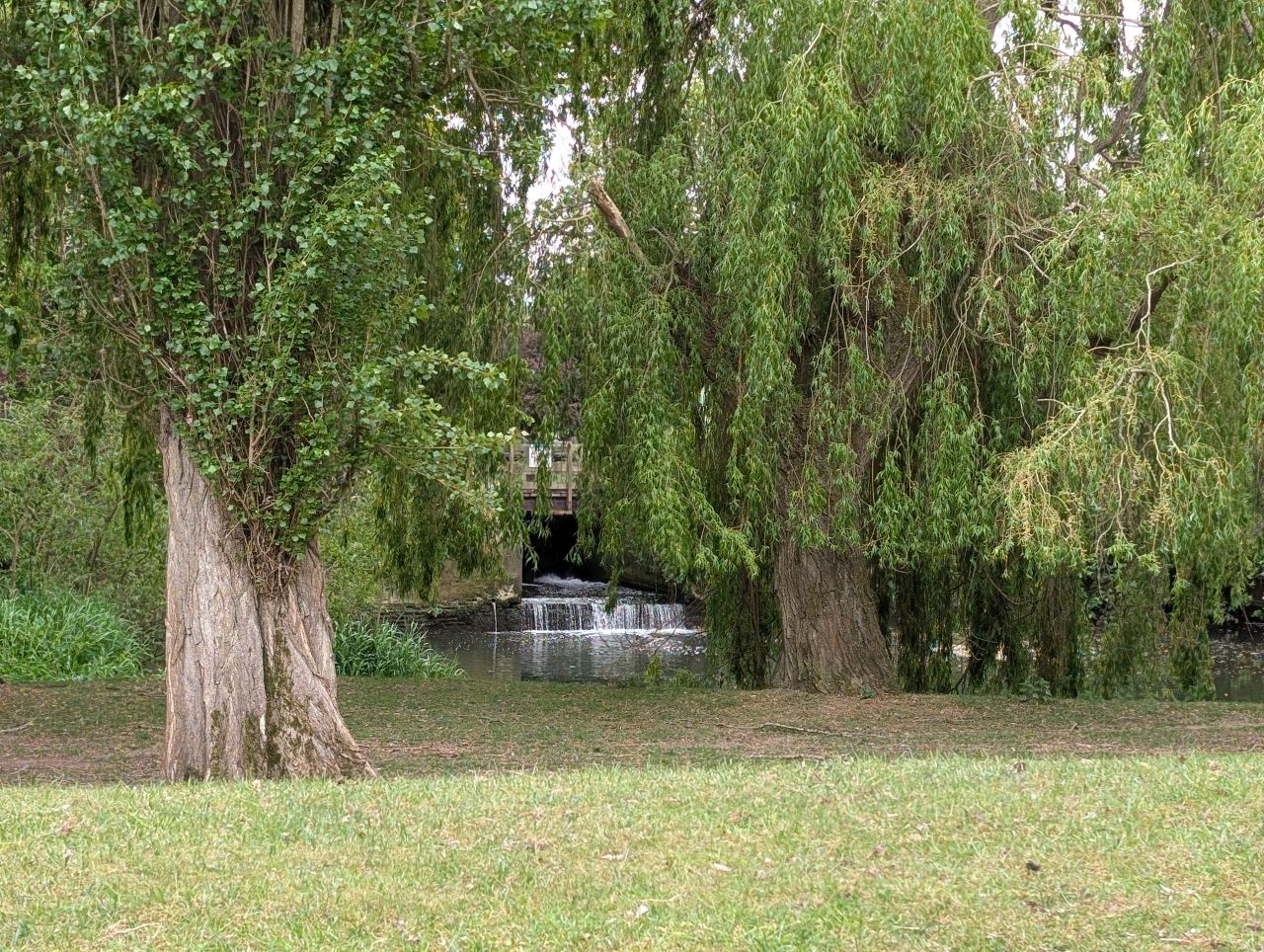 2026-05-11 04 Cavendish.jpg