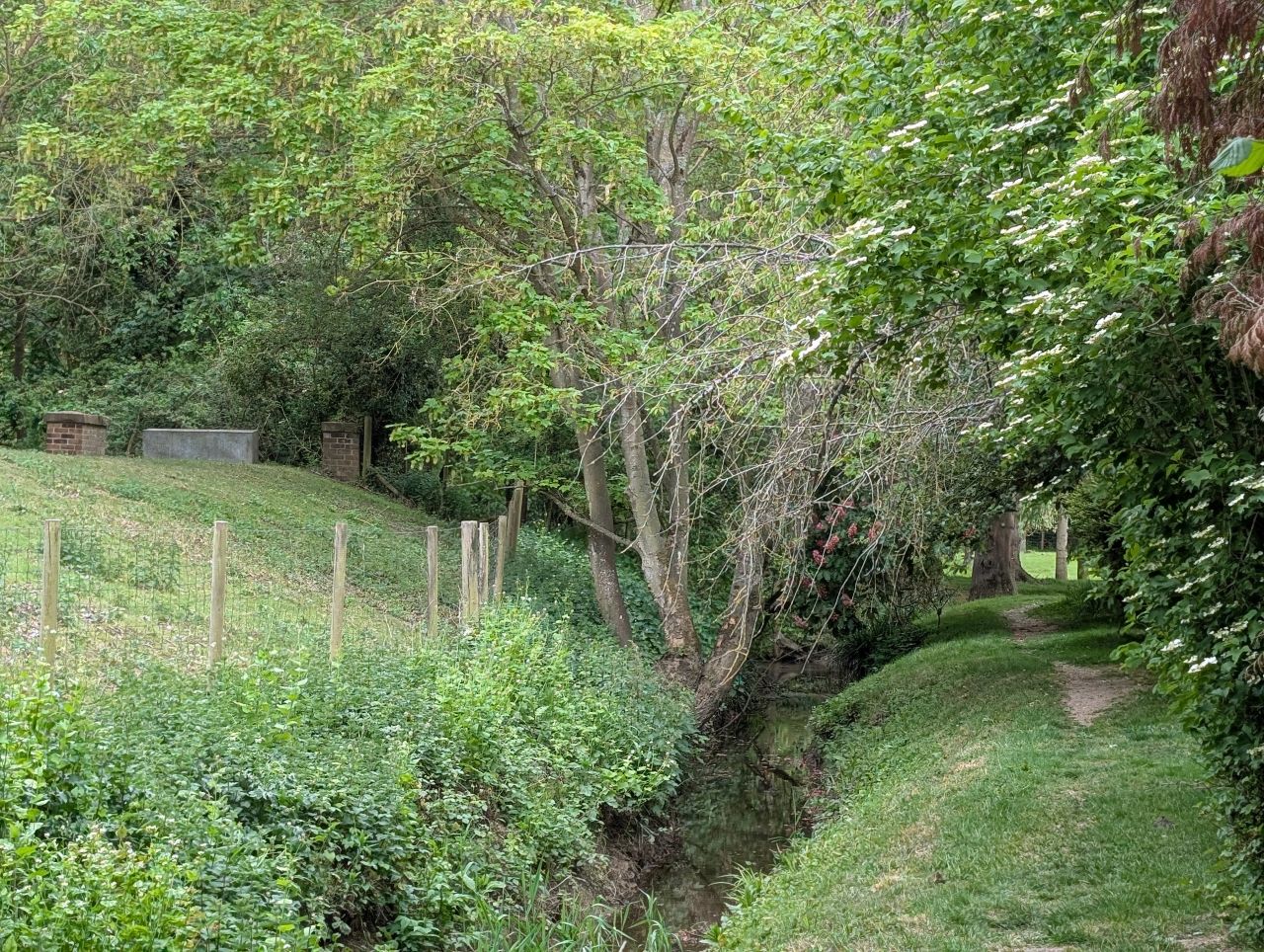 2026-05-11 05 Cavendish.jpg