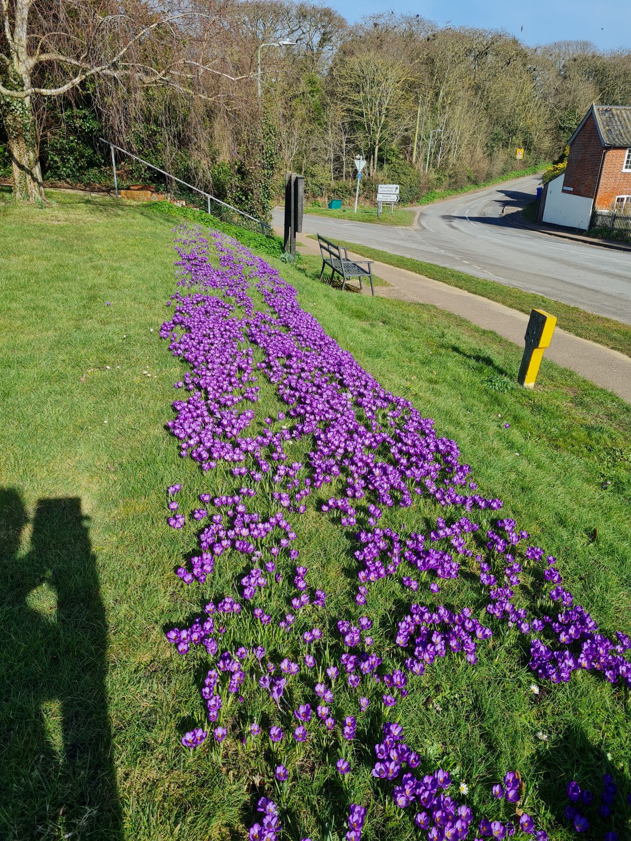 2025-03-05 01 Southwold and Reydon.jpg