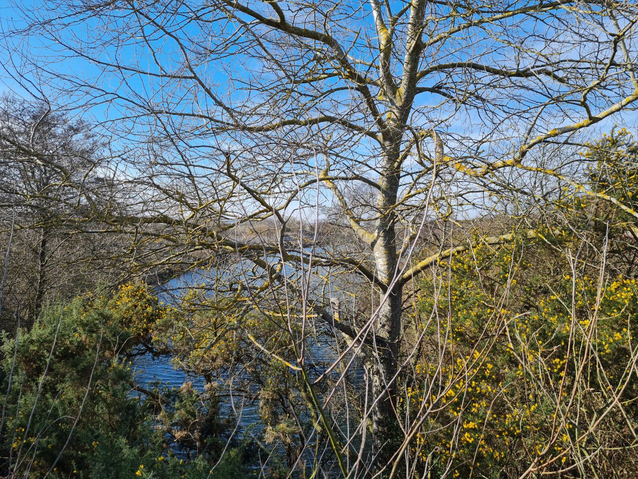 2025-03-05 02 Southwold and Reydon.jpg