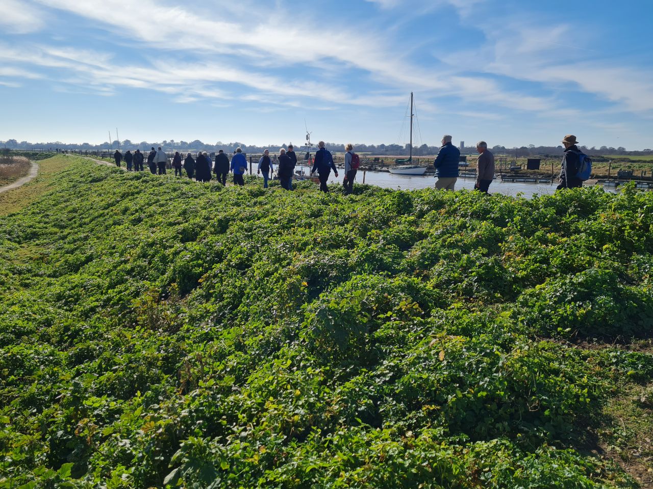 2025-03-05 05 Southwold and Reydon.jpg