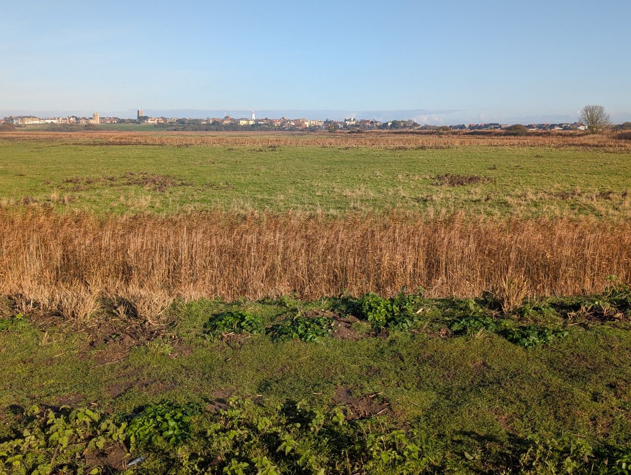 2025-11-26 03 Southwold.jpg