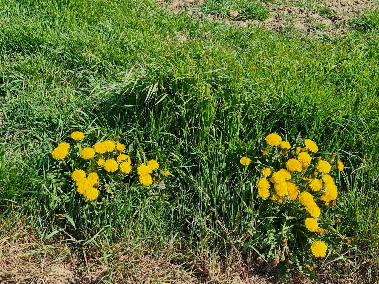 2025-04-07 05 Shelfanger.jpg