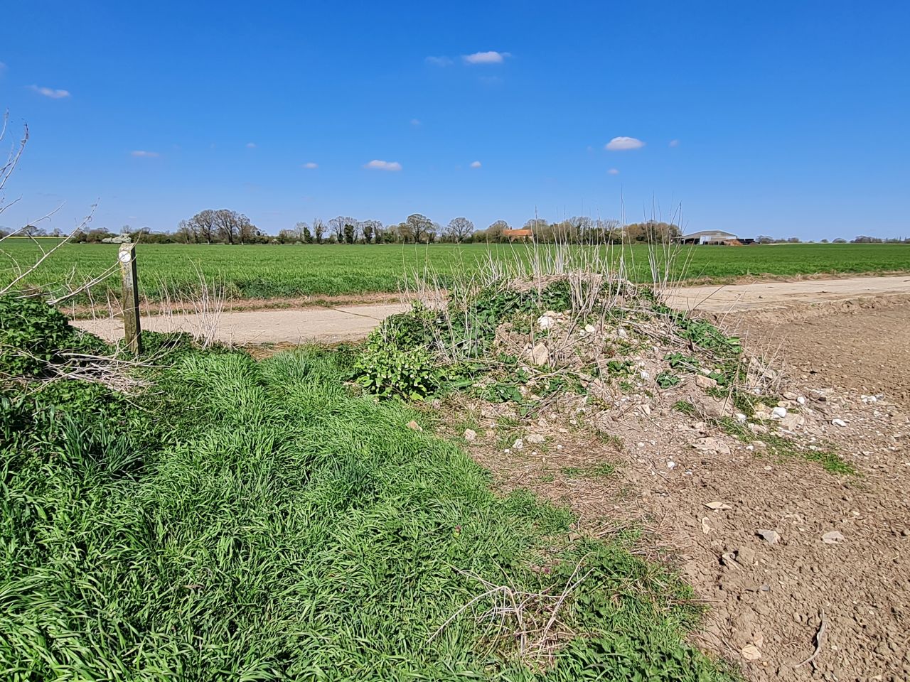 2025-04-07 07 Shelfanger.jpg