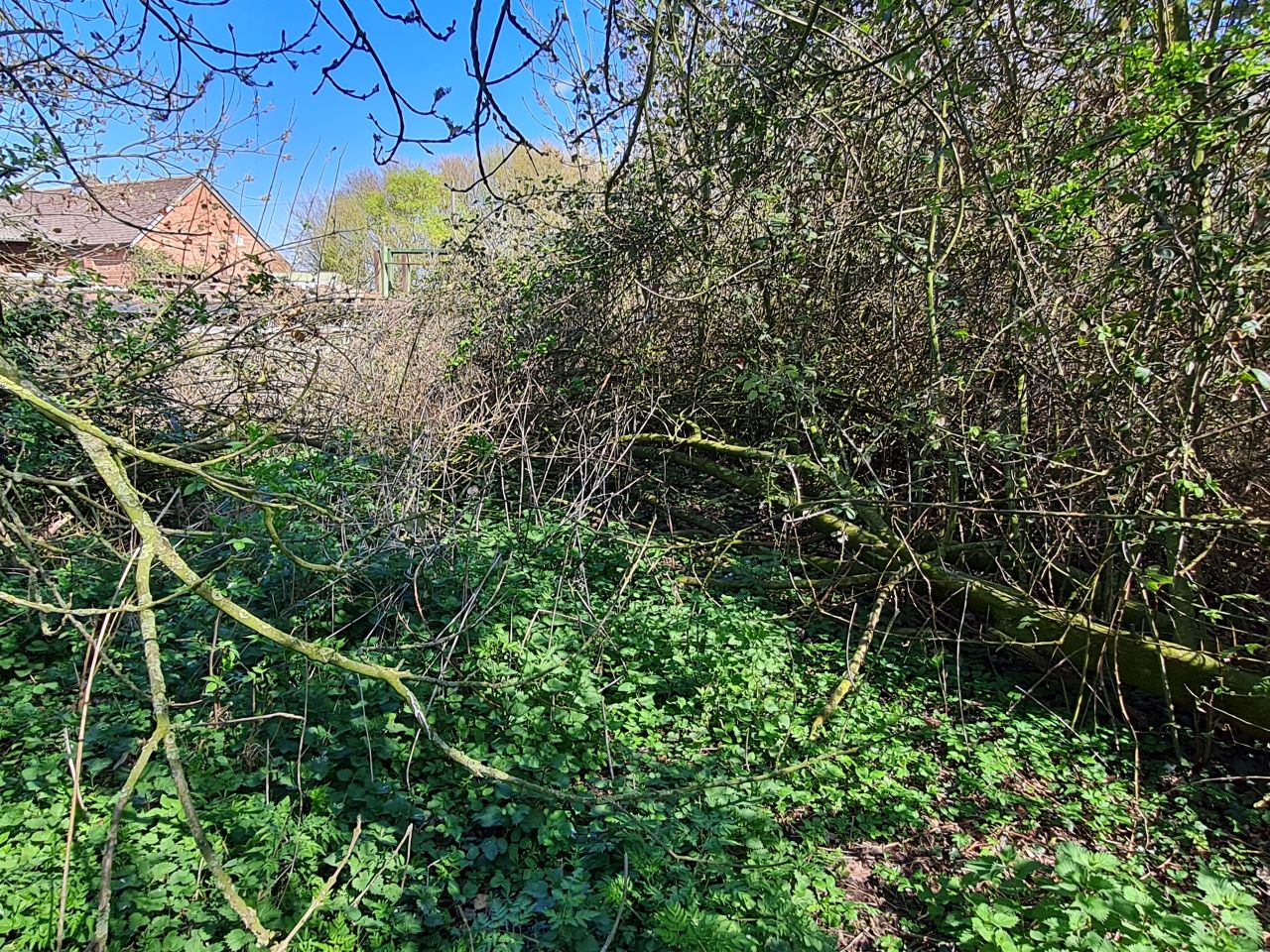 2025-04-07 08 Kenninghall Lodge Path Blockage.jpg