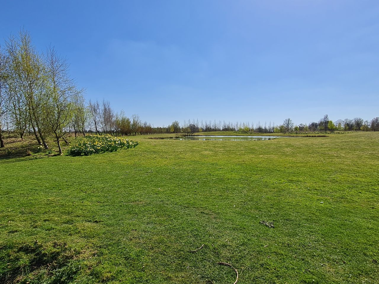 2025-04-07 14 Shelfanger.jpg