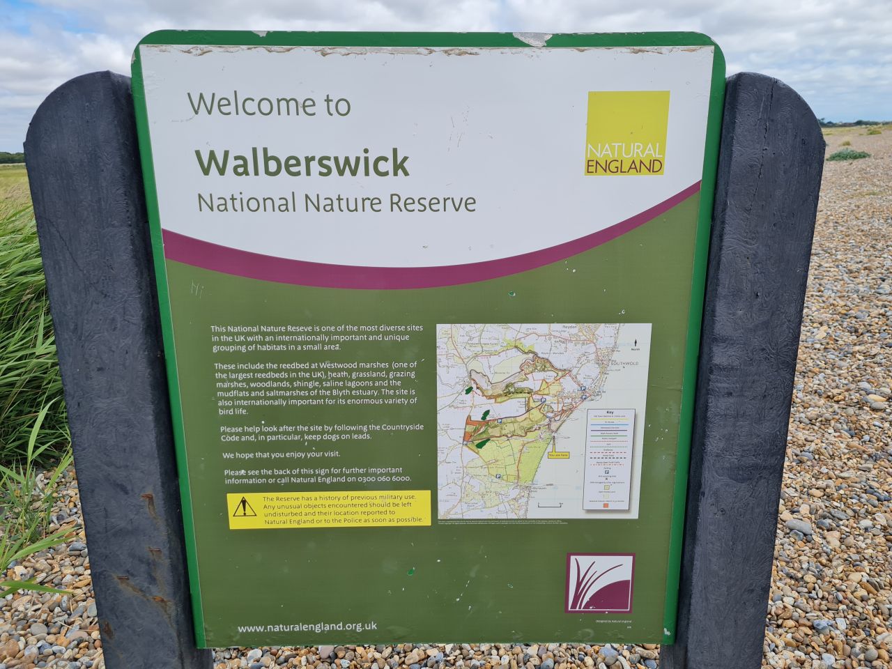 2025-07-05 12 Dunwich Dingle Marshes and Forest.jpg