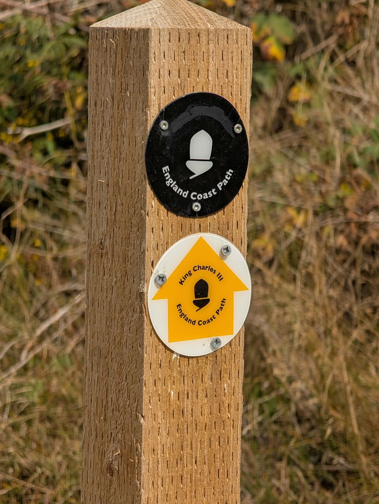 2025-08-17 08 Dunwich and Heath.jpg