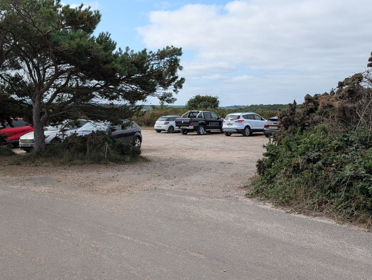 2025-08-17 10 Dunwich and Heath.jpg