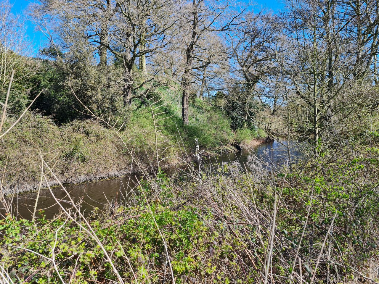 2025-04-01 17 Buckenham Castle.jpg