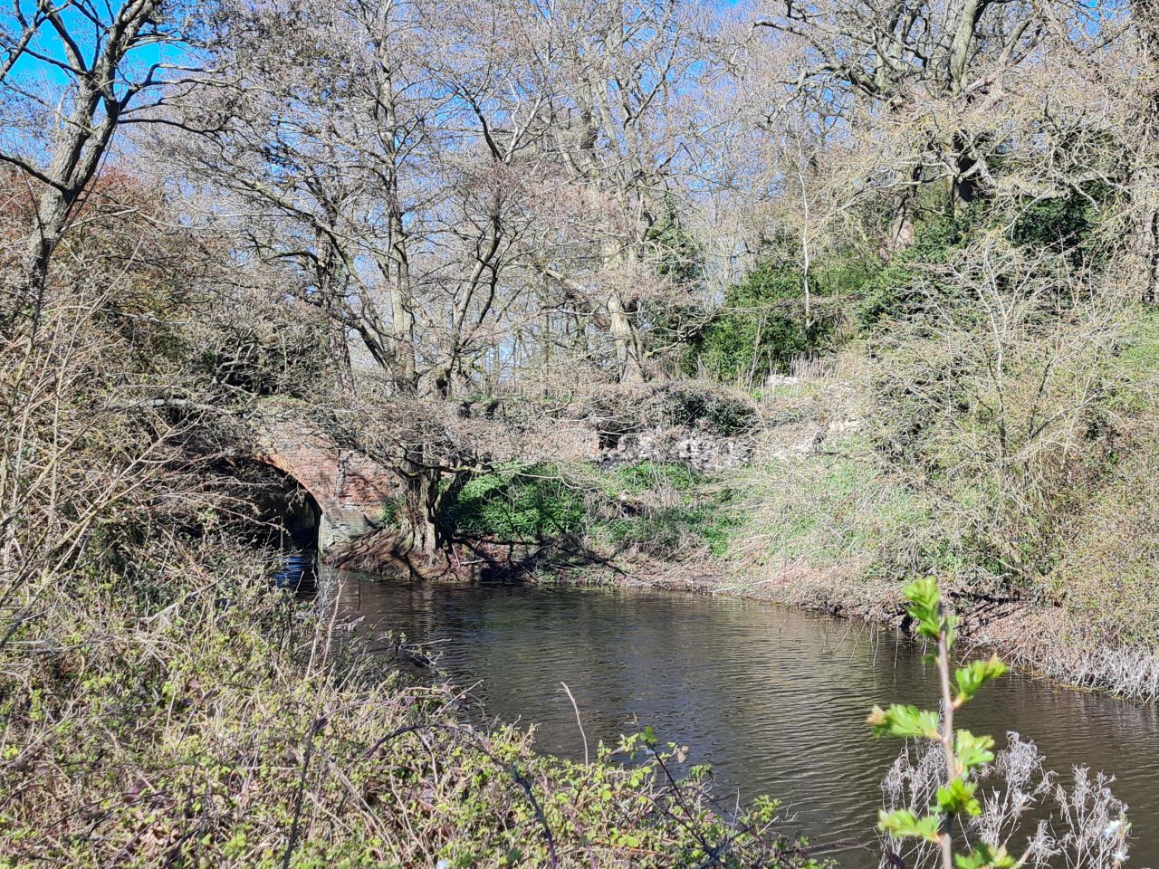 2025-04-01 19 Buckenham Castle.jpg