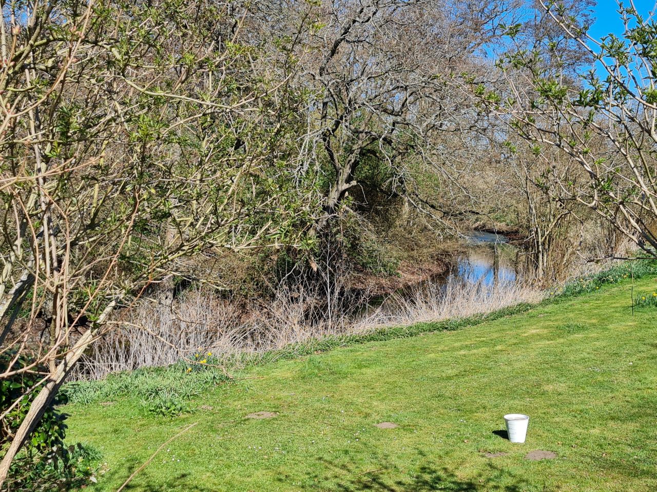 2025-04-01 20 Buckenham Castle.jpg