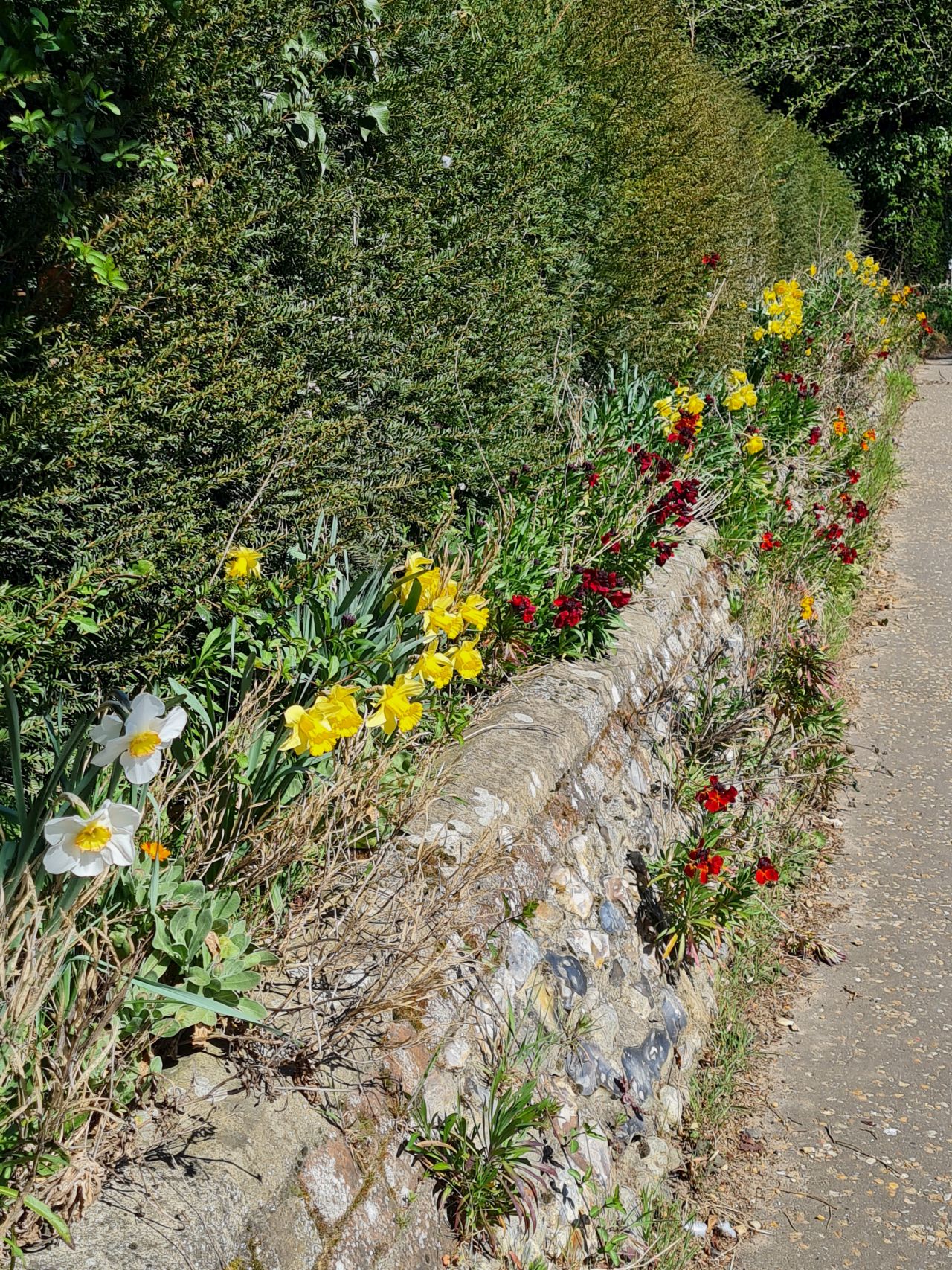 2025-04-01 22 New Buckenham.jpg