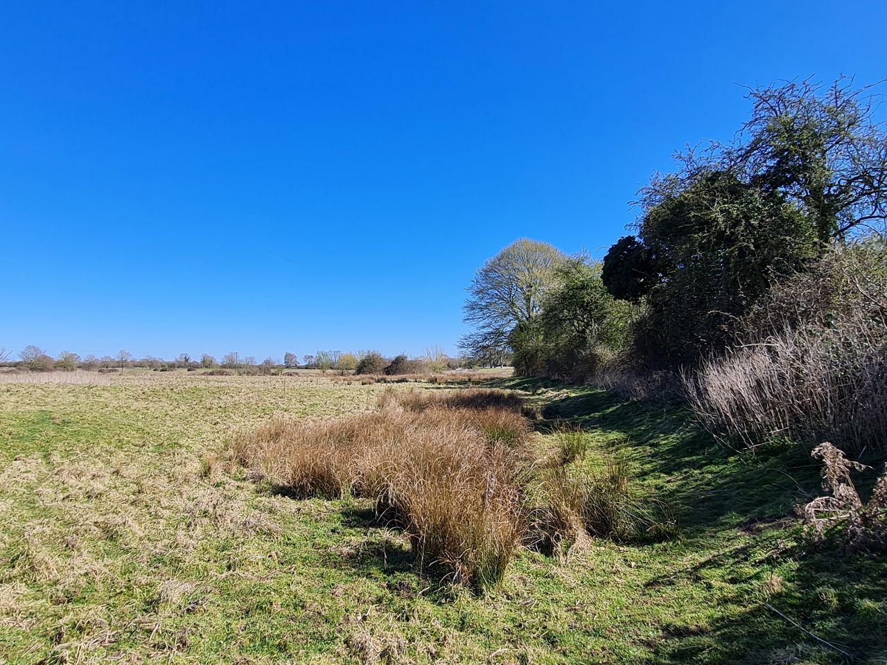 2025-04-01 41 New Buckenham.jpg