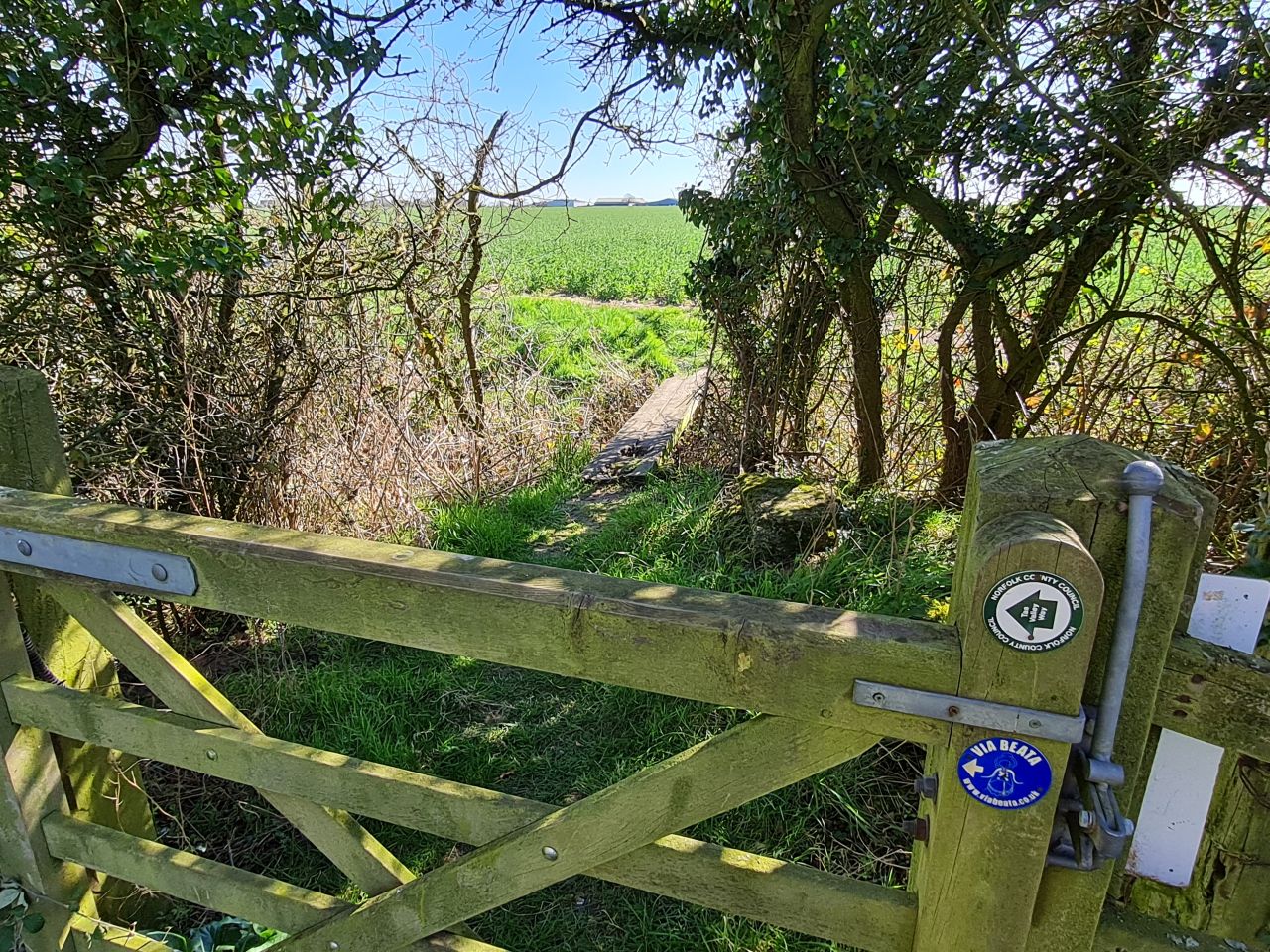 2025-04-01 42 New Buckenham.jpg