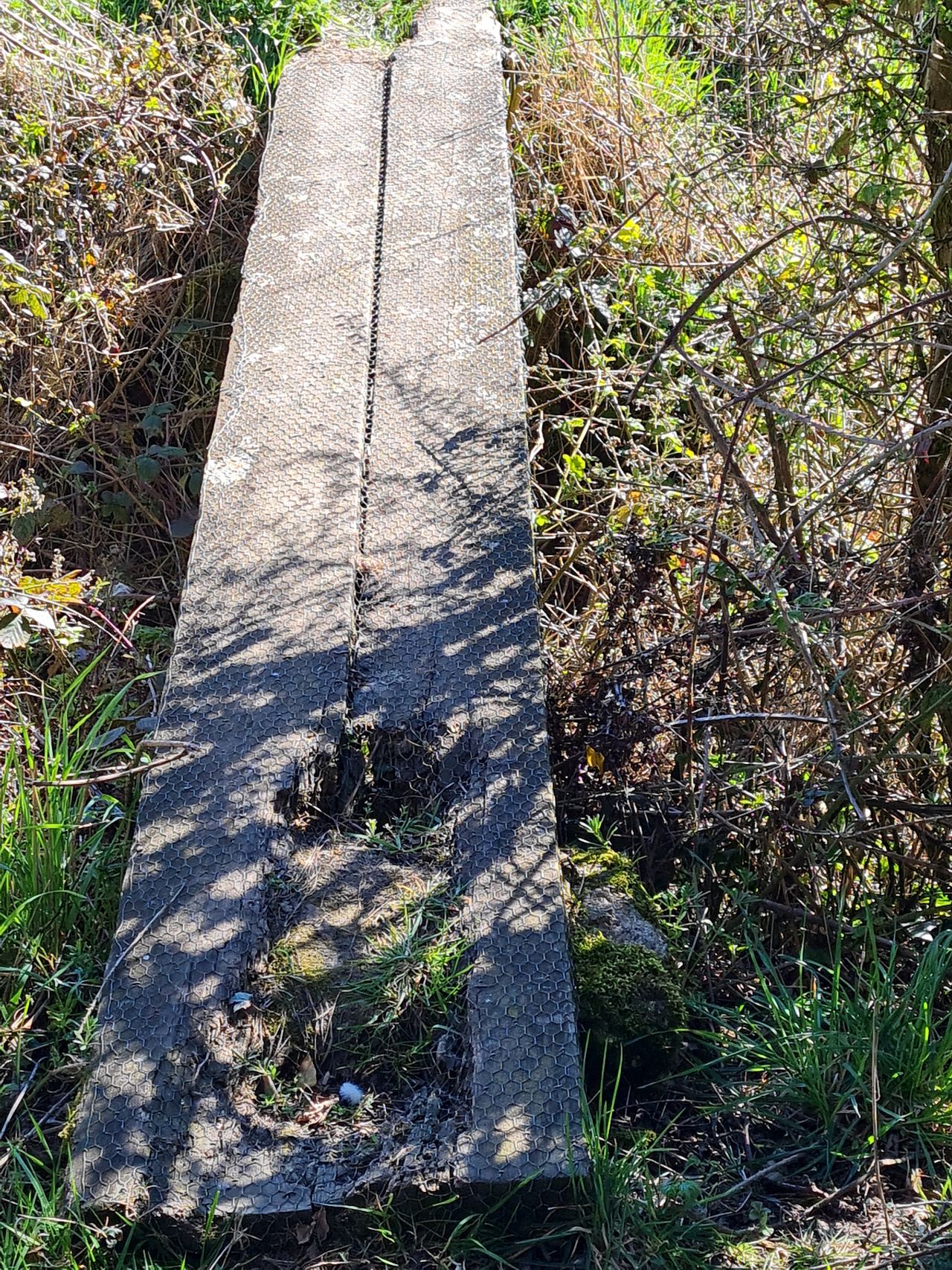 2025-04-01 43 New Buckenham.jpg