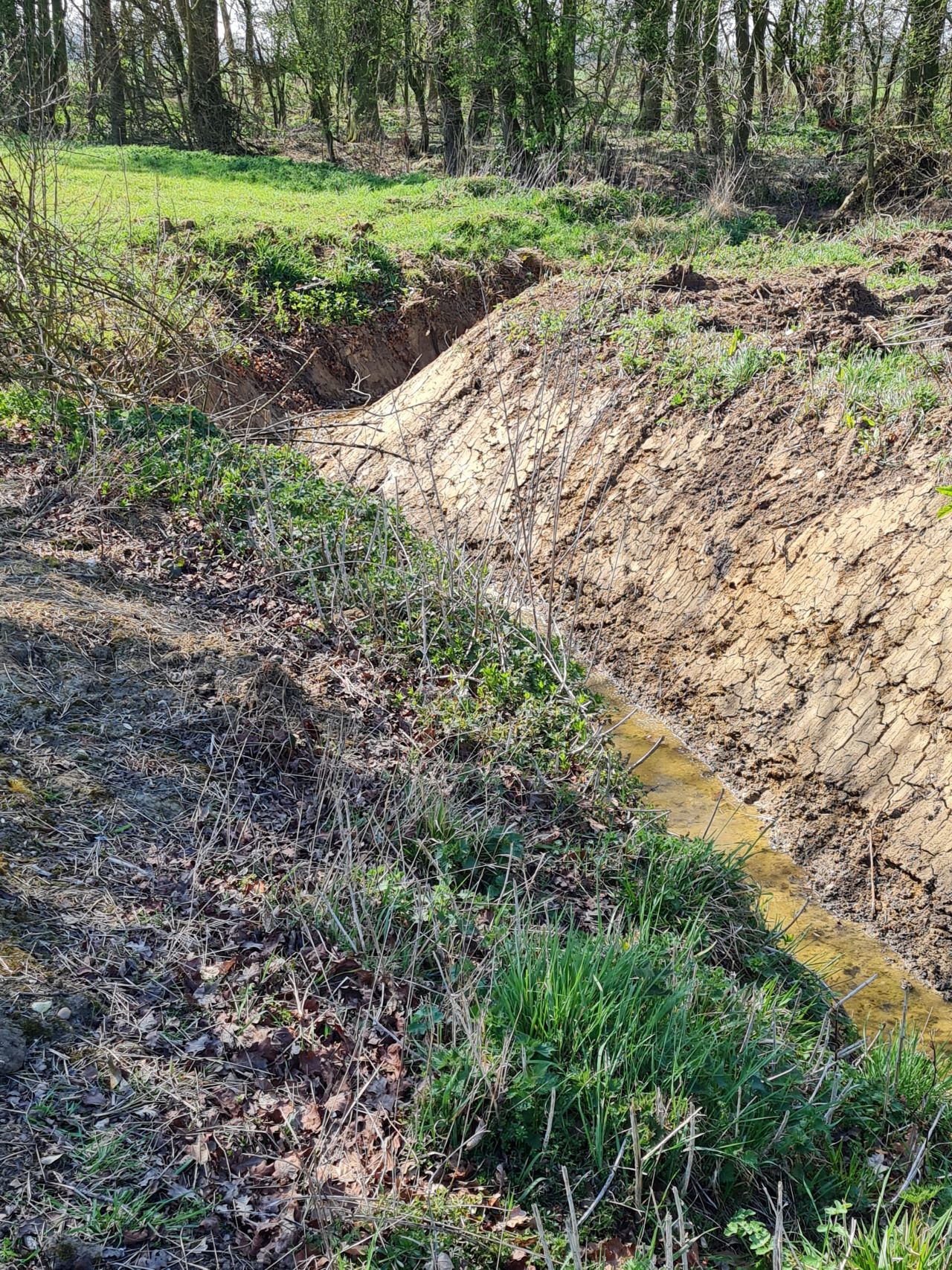 2025-04-03 06 Short Green and New Buckenham.jpg