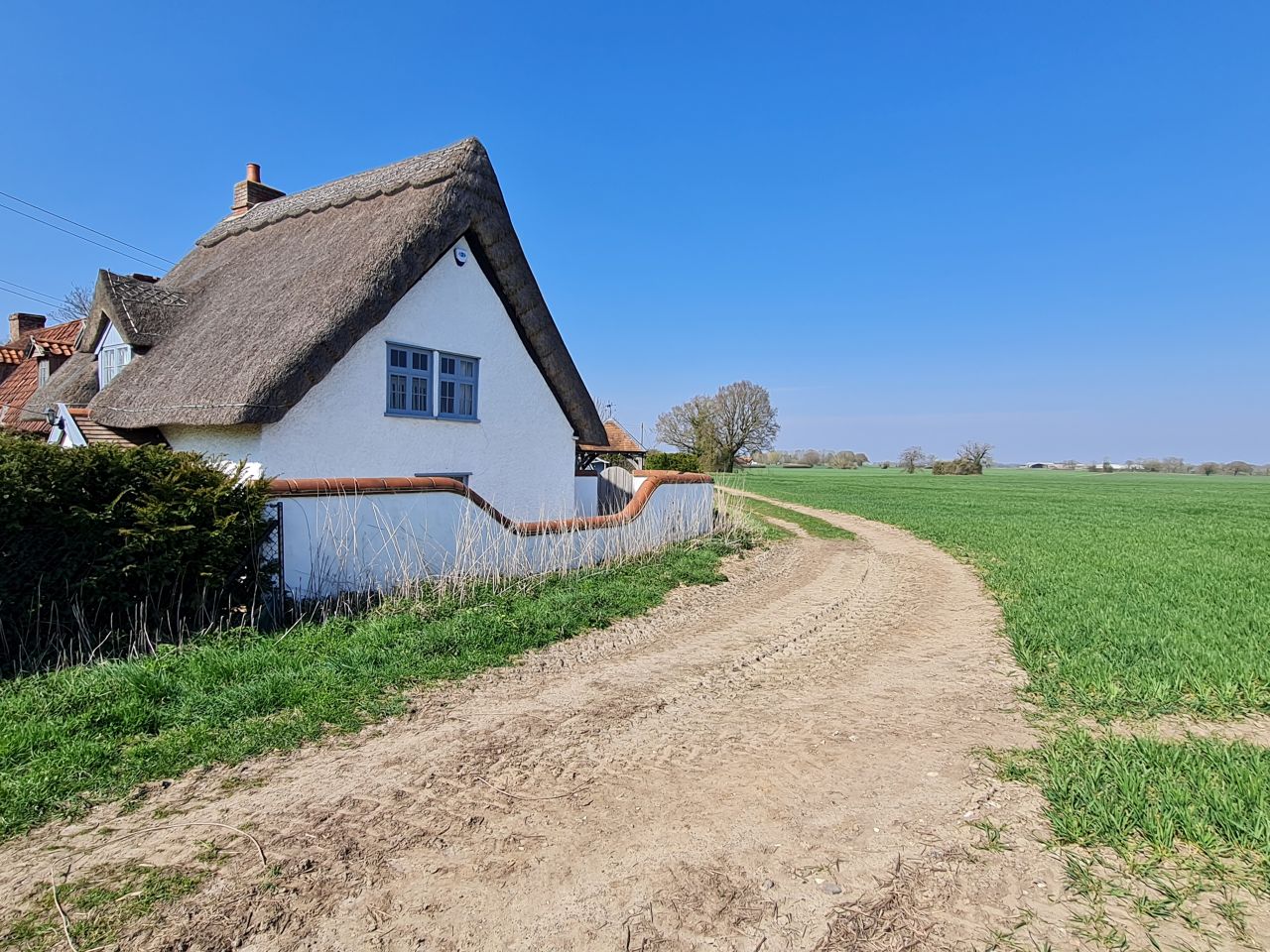 2025-04-03 07 Short Green and New Buckenham.jpg