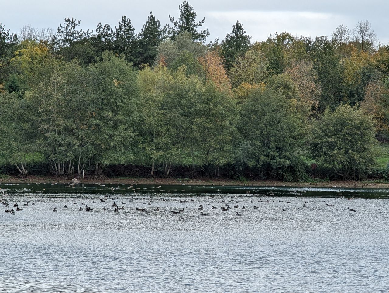 2025-10-25 10 Angles Way.jpg