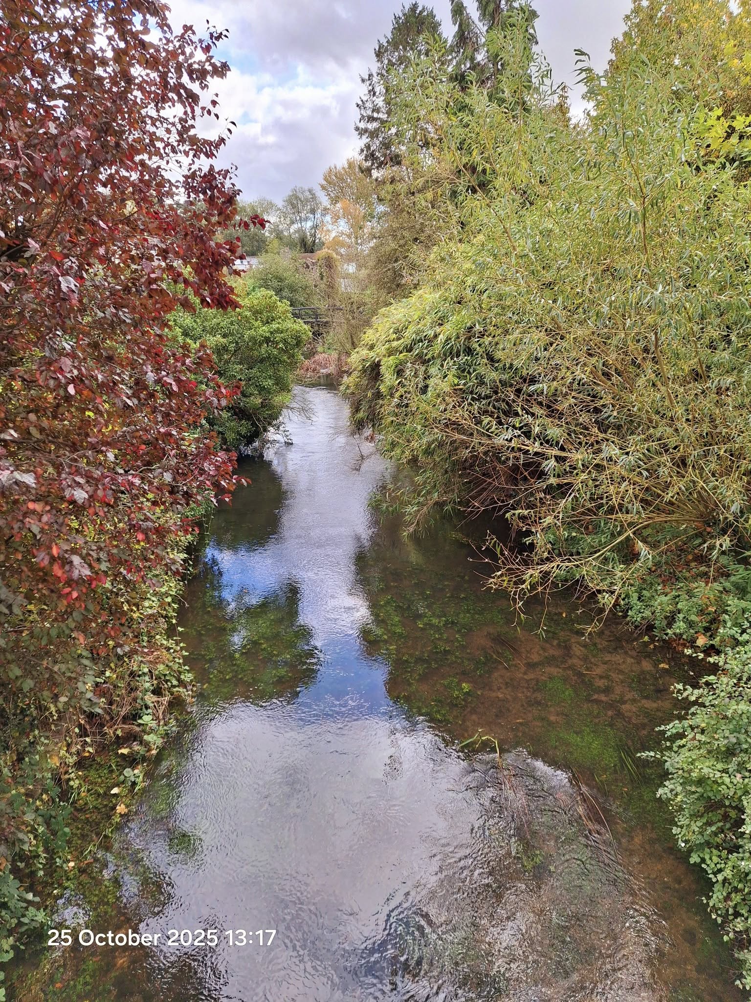 2025-10-25 21 Angles Way.jpg