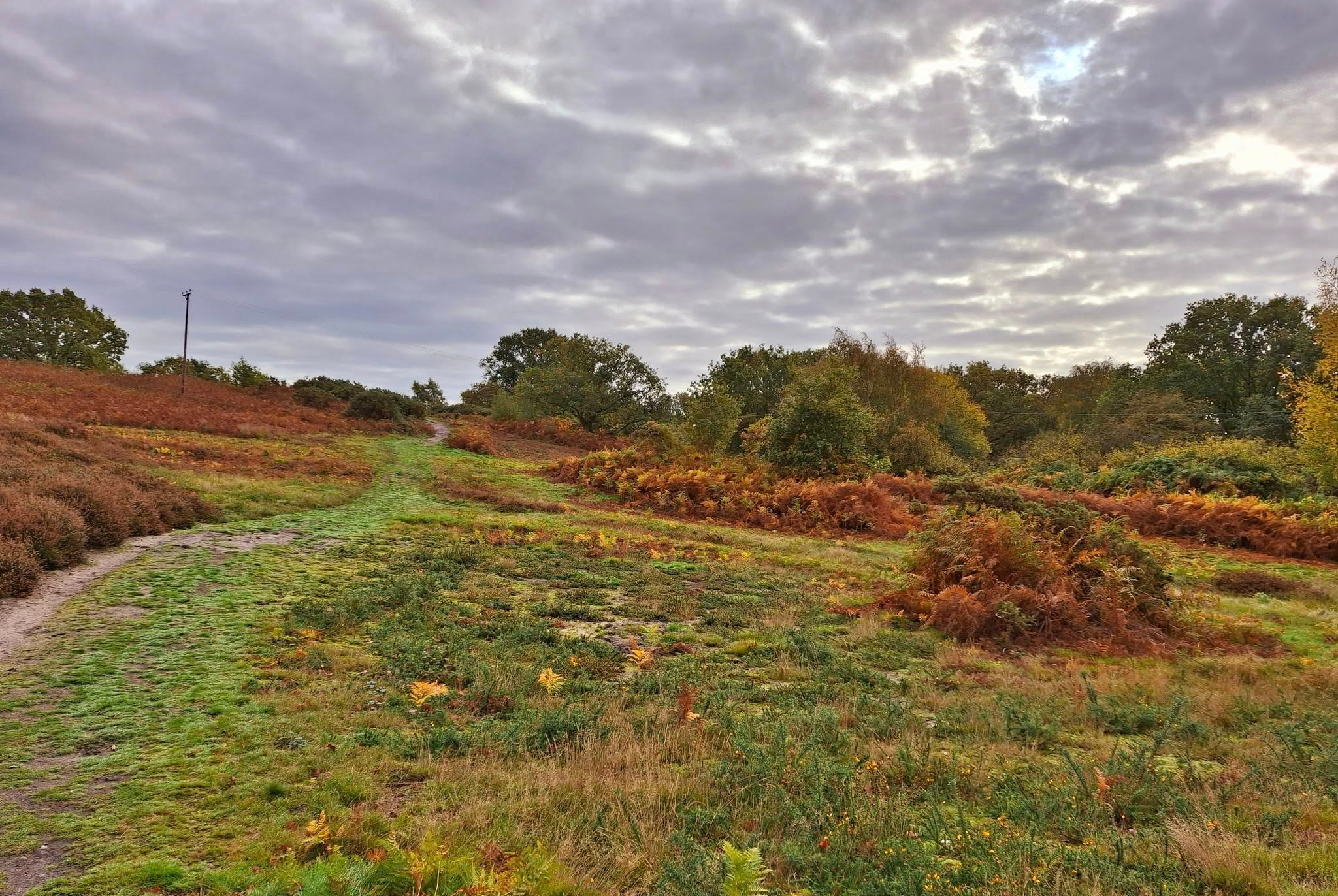 2025-10-22 04 Wenhaston.jpg