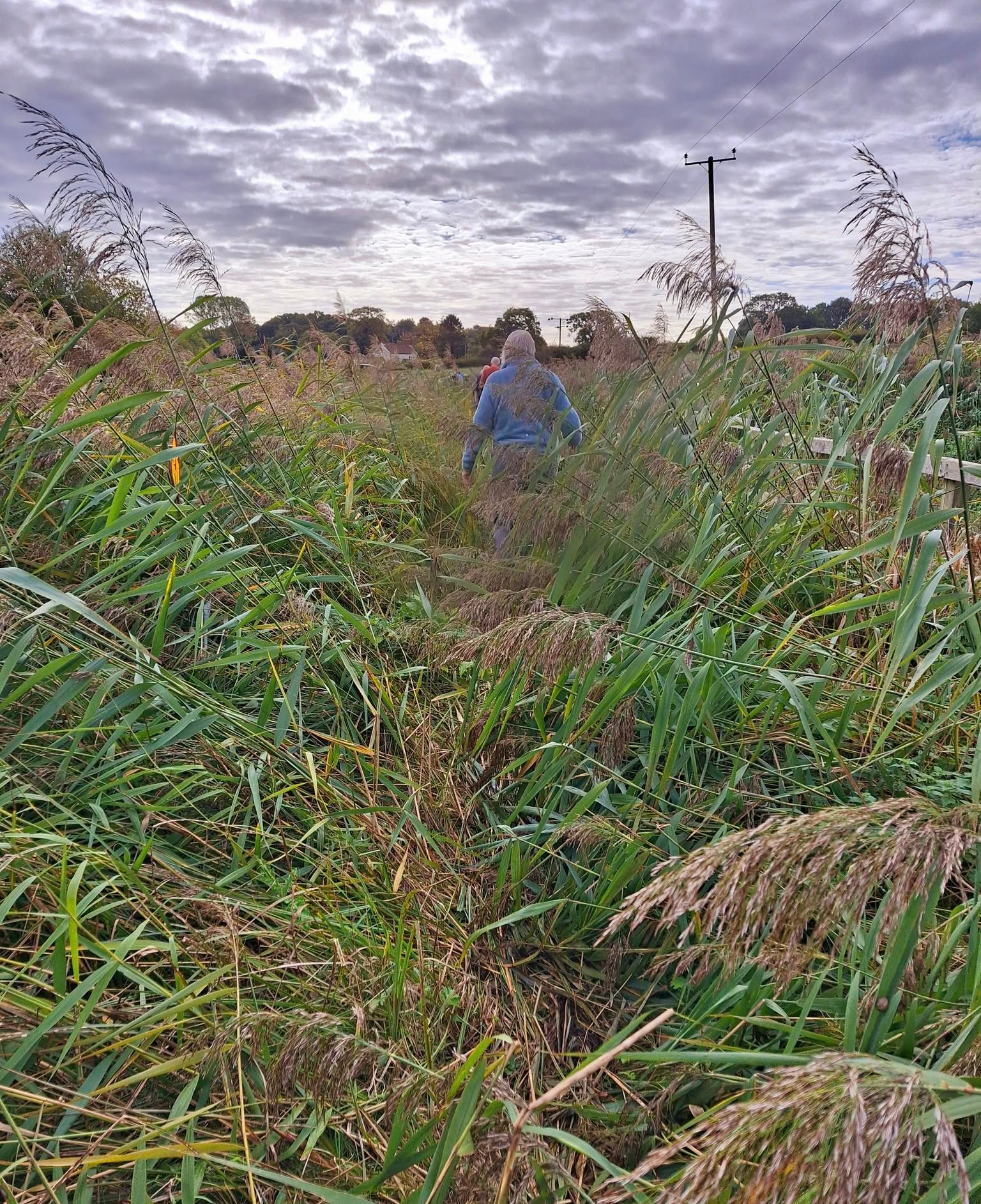 2025-10-22 06 Wenhaston.jpg