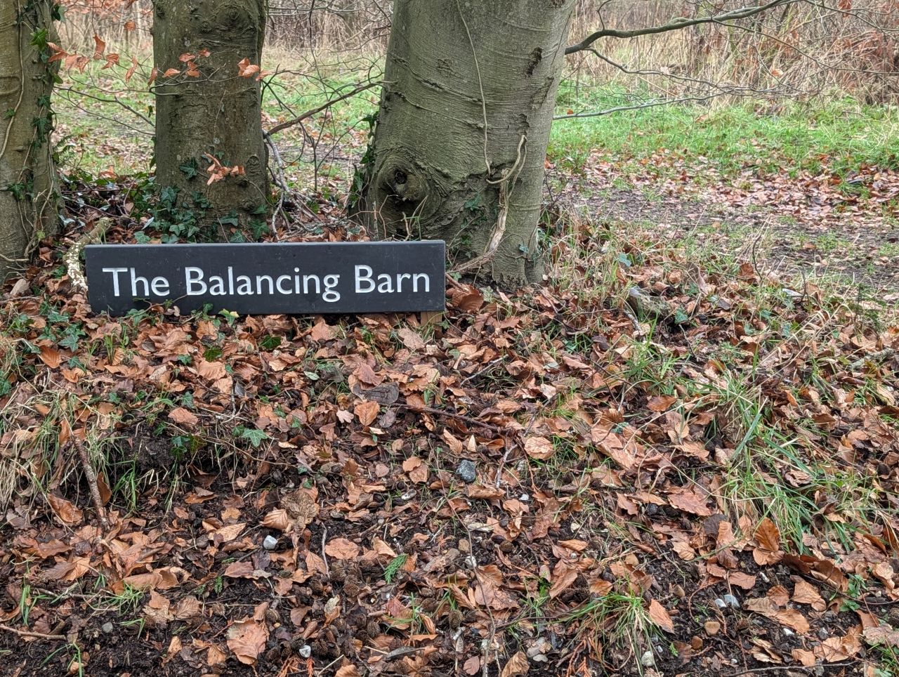 2026-01-11 02 Banalcing Barn.jpg