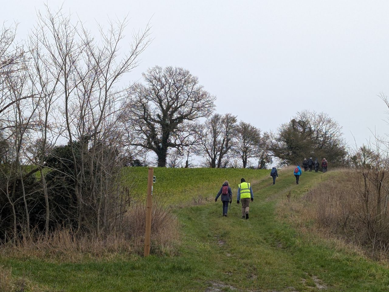 2026-01-11 22 Wenhaston and Bramfield.jpg