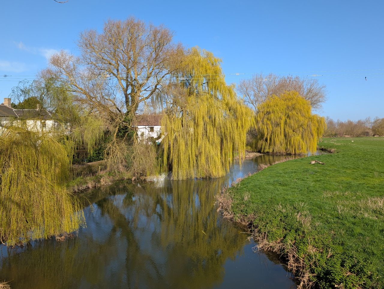 2026-03-14 10 Sudbury and Little Cornard.jpg