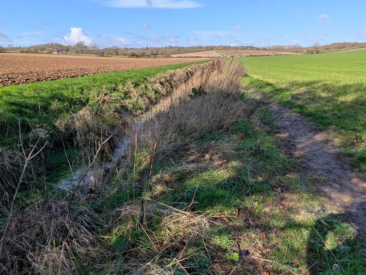 2026-03-14 14 Sudbury and Little Cornard.jpg