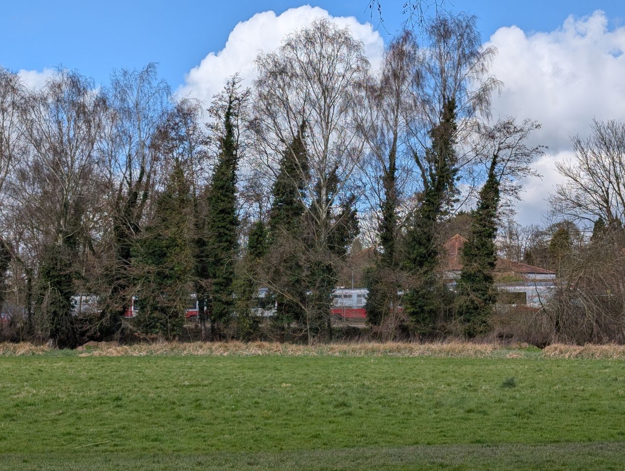 2026-03-14 28 Sudbury and Little Cornard.jpg