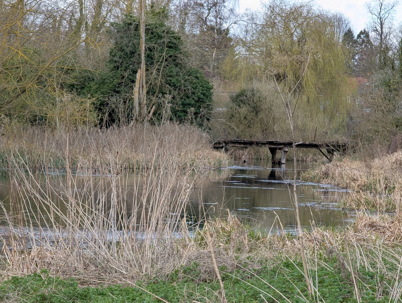 2026-03-14 30 Sudbury and Little Cornard.jpg