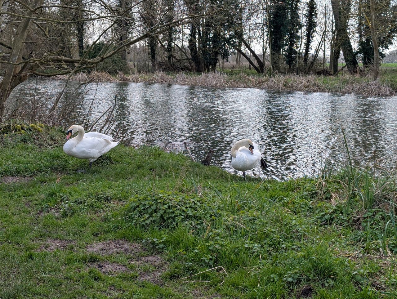 2026-03-14 32 Sudbury and Little Cornard.jpg