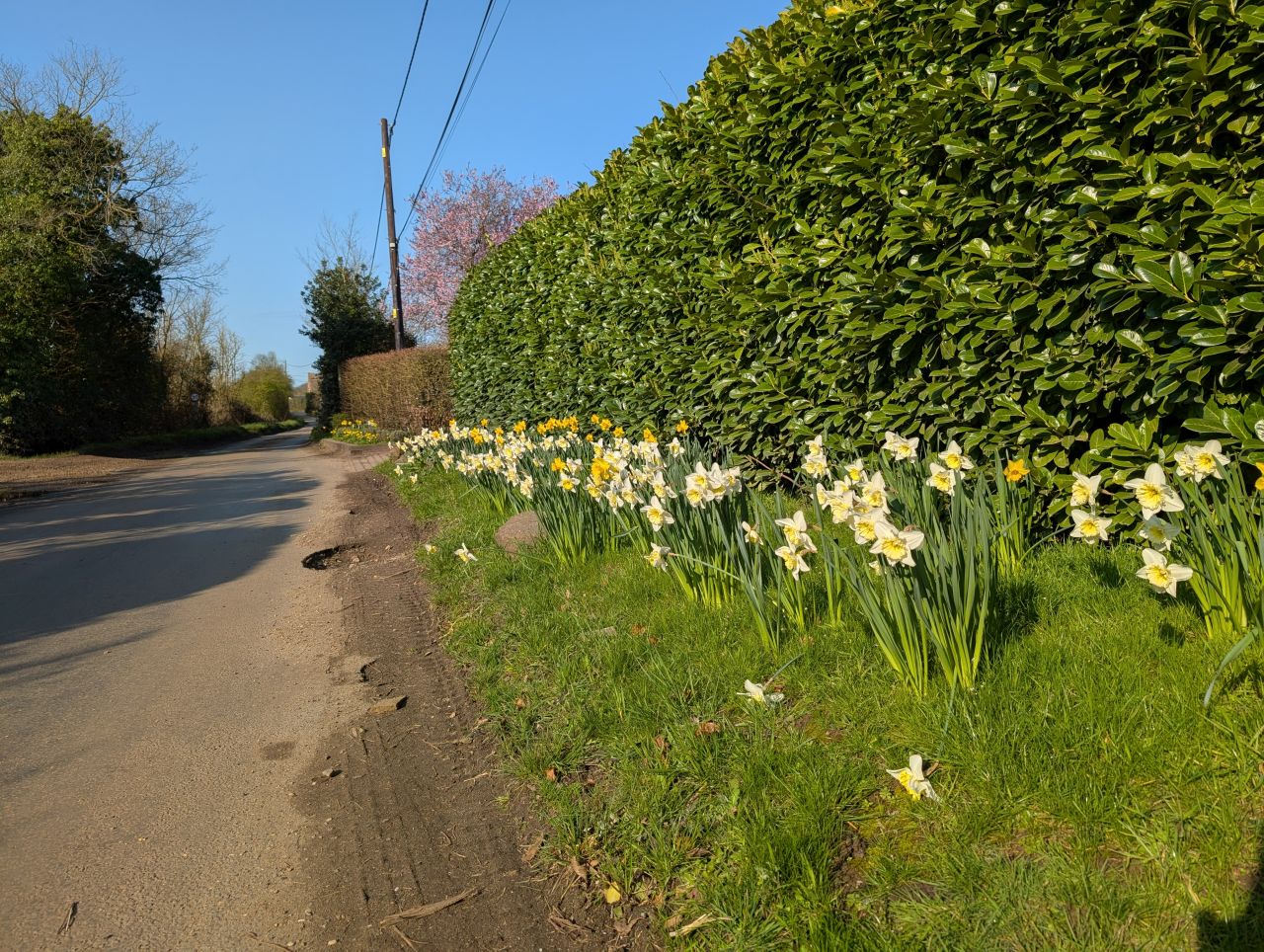 2026-03-15 02 Little Cornard and Assington.jpg