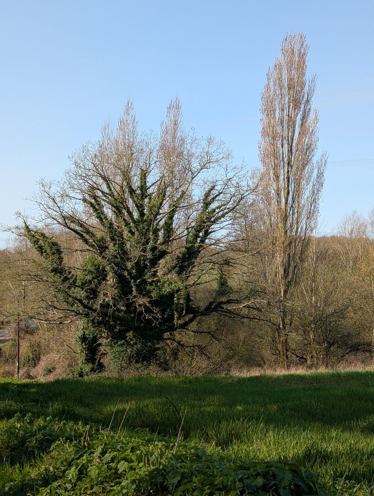 2026-03-15 05 Little Cornard and Assington.jpg