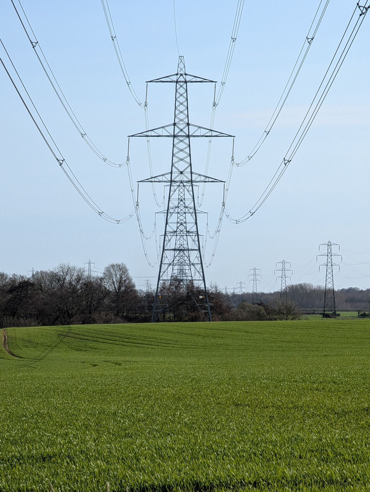 2026-03-15 07 Little Cornard and Assington.jpg