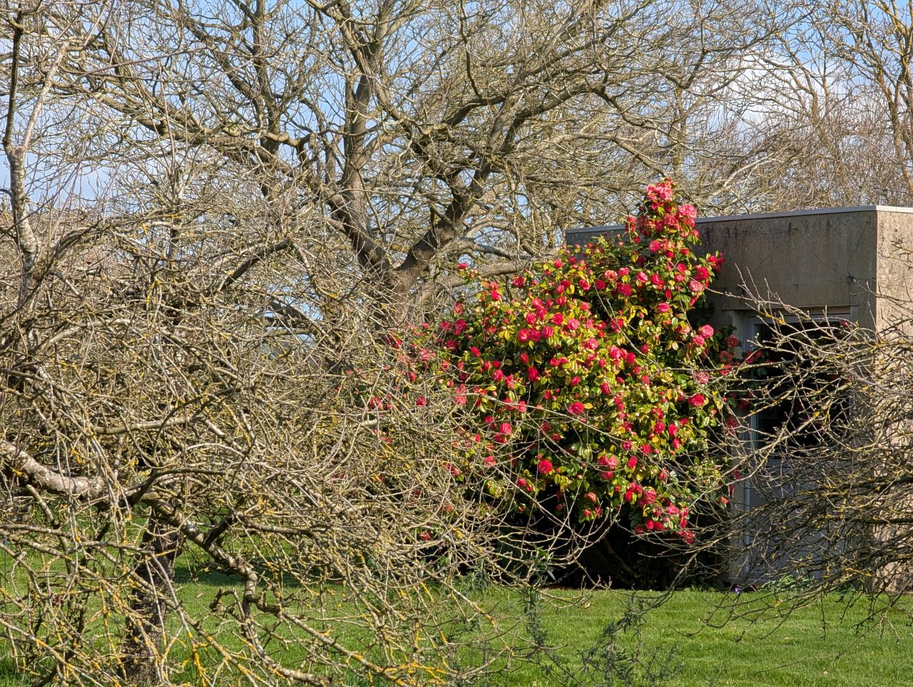 2026-03-15 17 Little Cornard and Assington.jpg