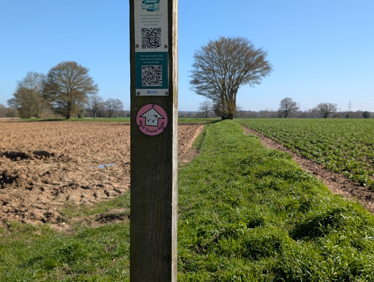 2026-03-18 17 Assington and Boxford.jpg