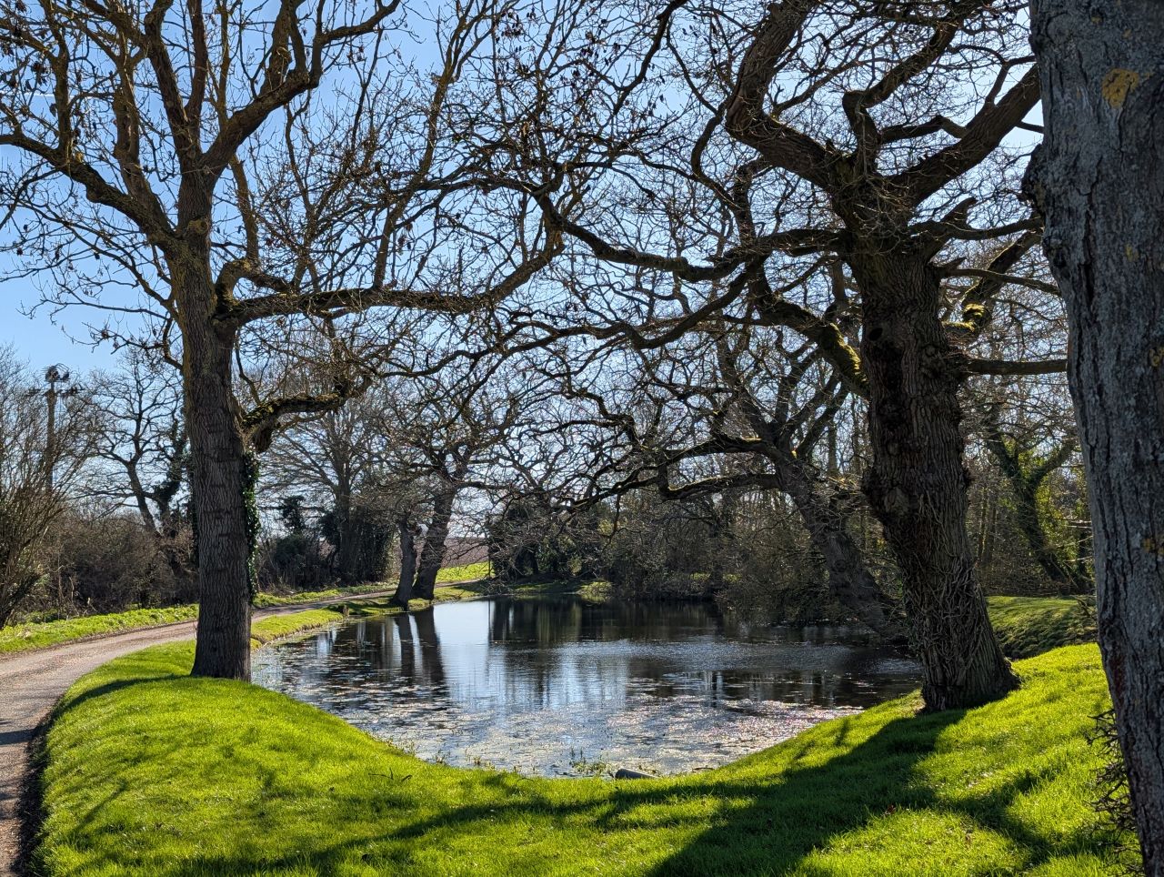 2026-03-18 46 Assington and Boxford.jpg