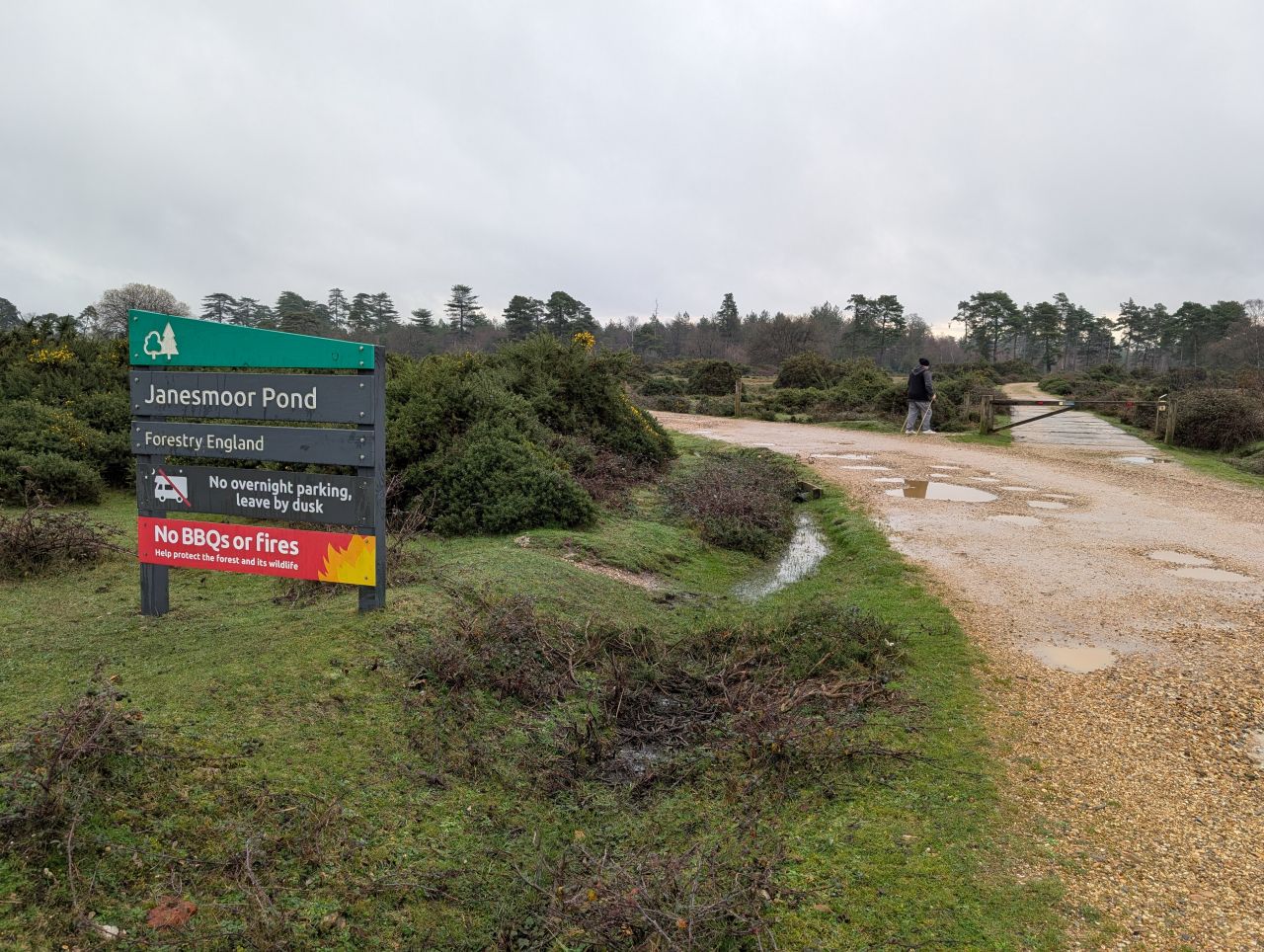 2025-12-21 01 New Forest Janesmoor Pond.jpg