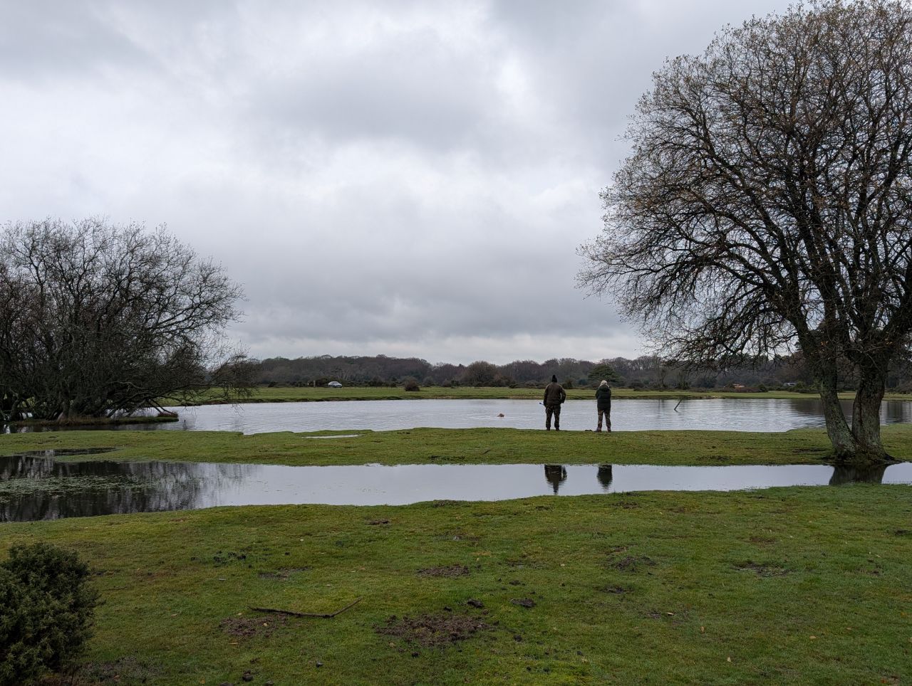 2025-12-21 15 New Forest Janesmoor Pond.jpg