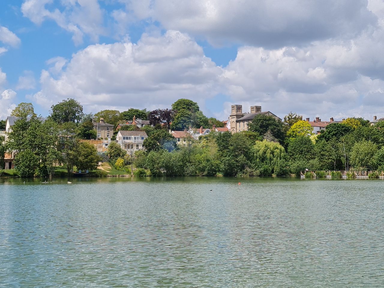 2025-05-23 06 Diss Brockdish Bus Walk.jpg