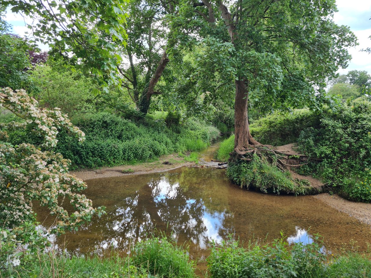 2025-05-23 19 Diss Brockdish Bus Walk.jpg