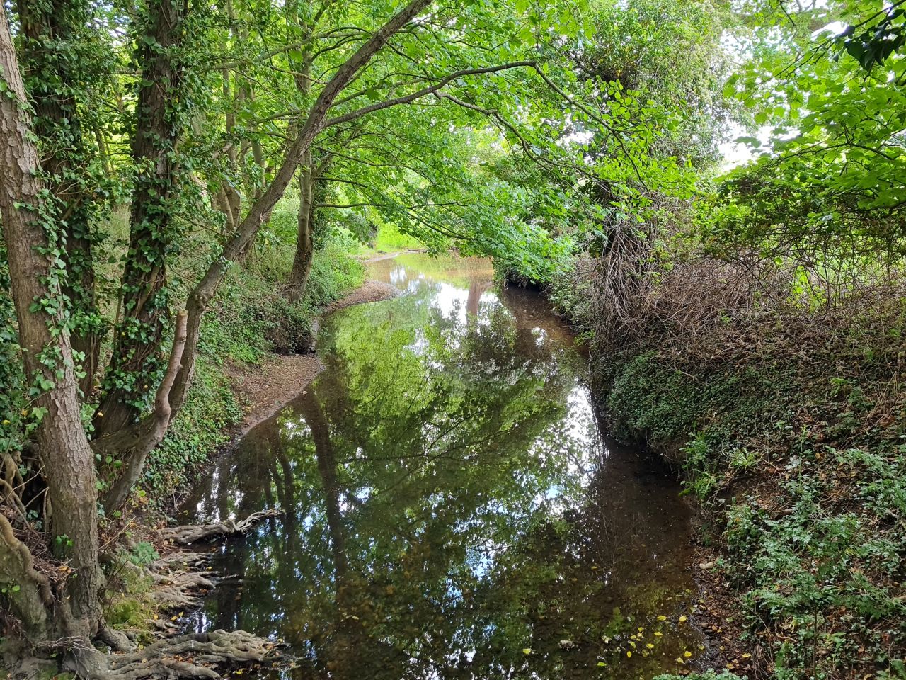 2025-05-23 21 Diss Brockdish Bus Walk.jpg